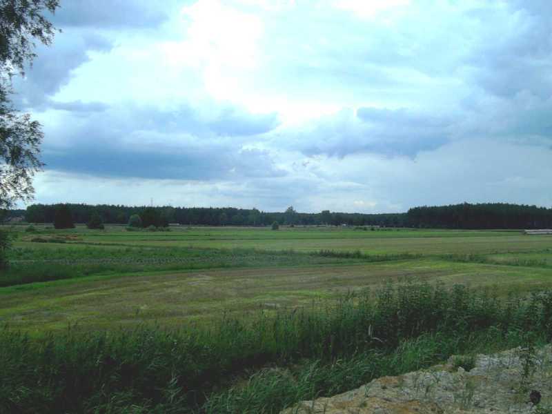 Polish countryside